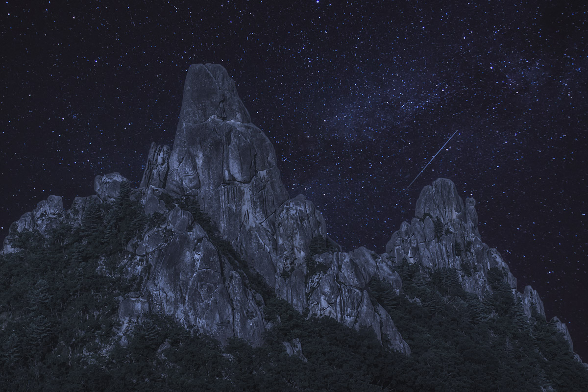 В свете восходящей луны.