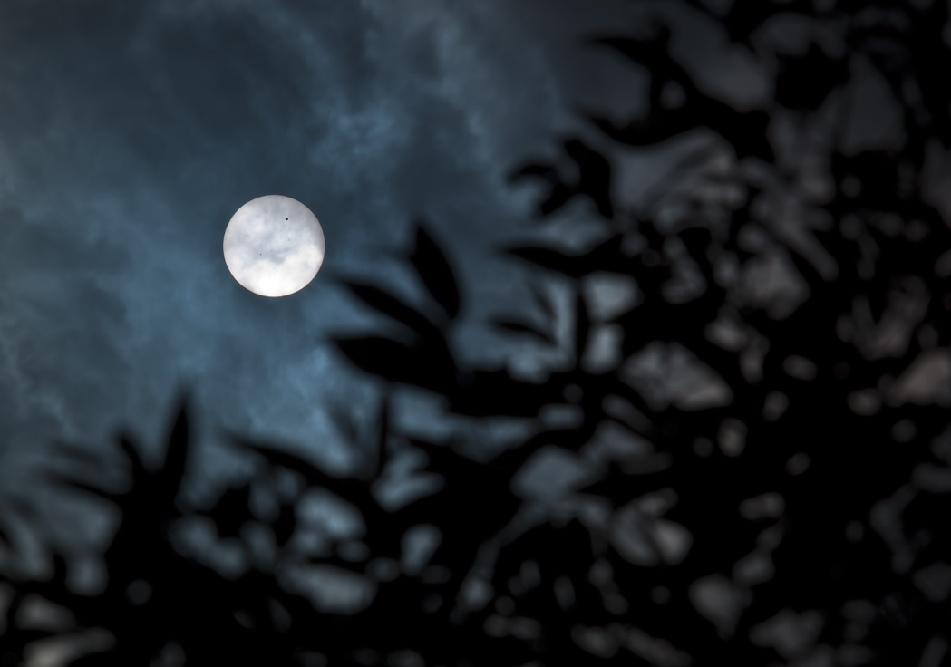 Пешком по солнцу