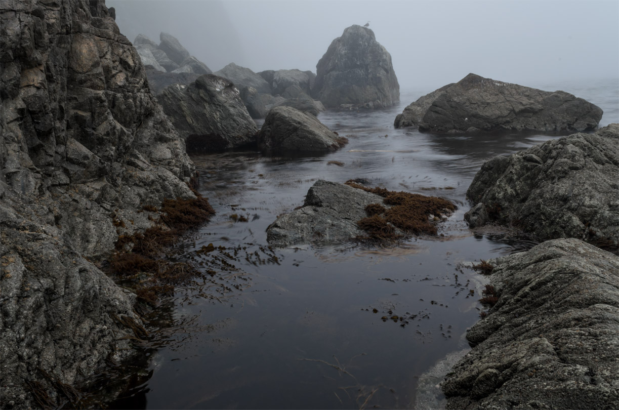 Померещилось