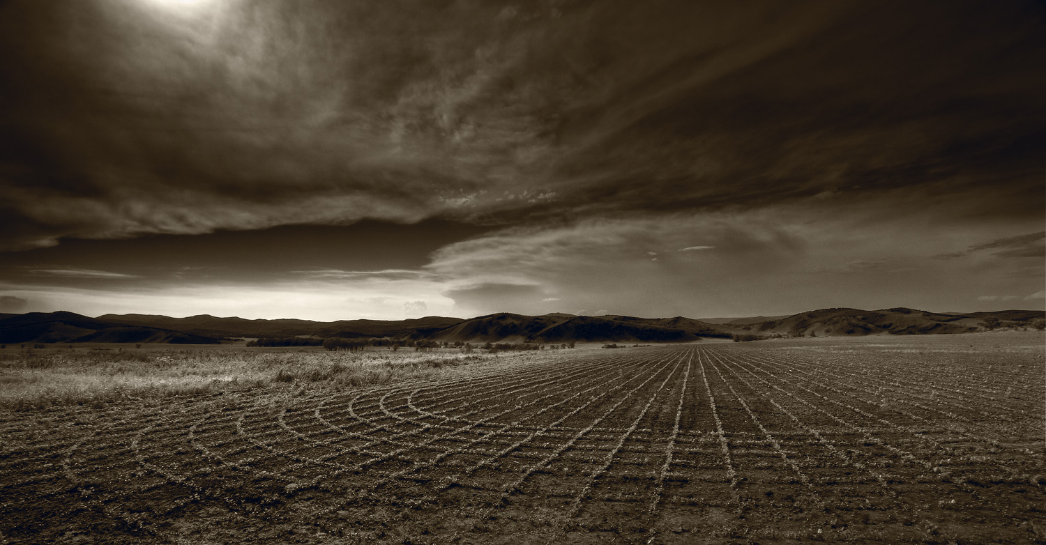 [круги на полях]