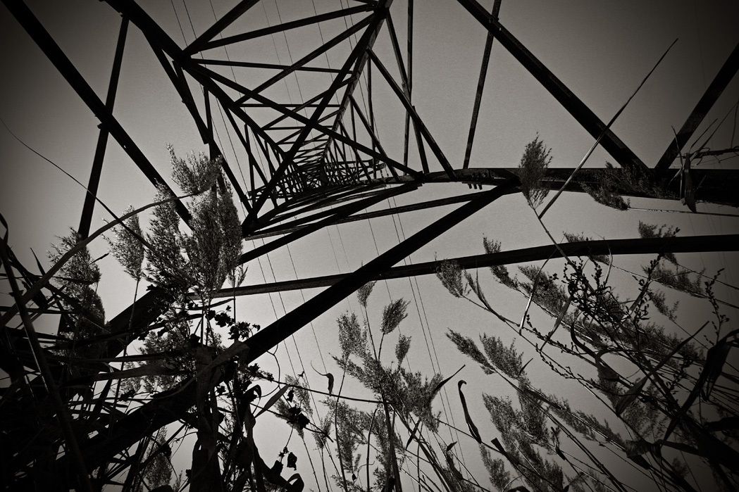 ТреугоИксоРомбичность