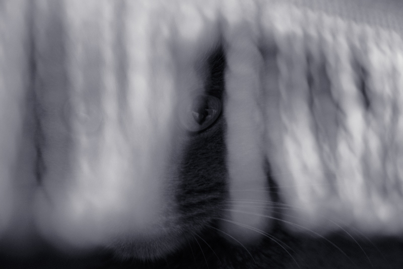 из темноты...