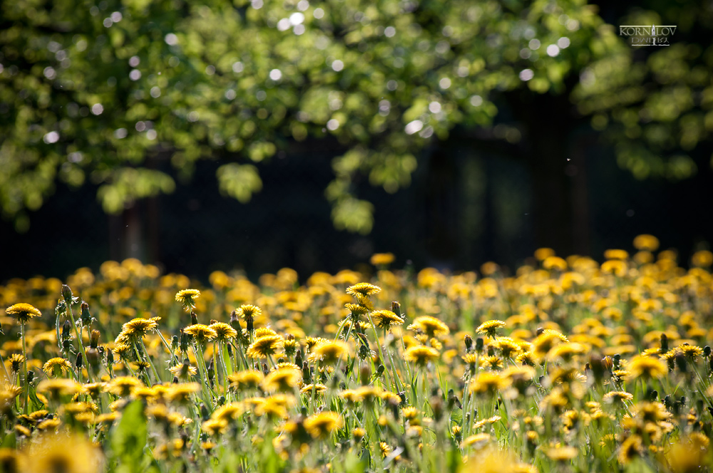 немного тепла