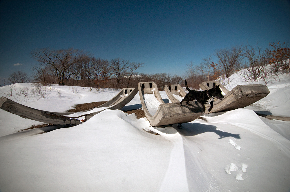 Терра инкогнита