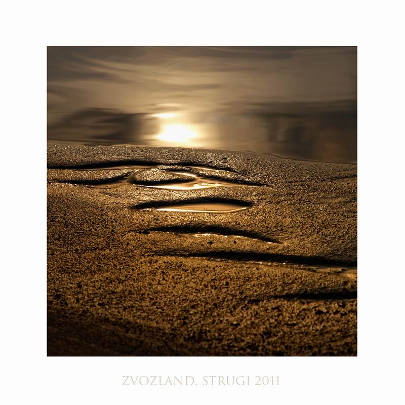 Звоз. струги. сон N1