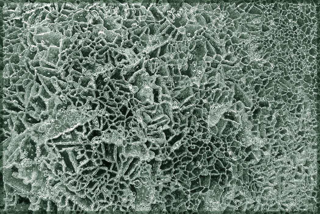 Тот что пока еще не тронулся