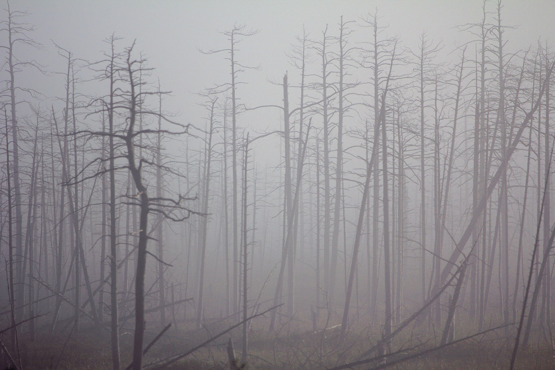 Штрихкод- конец срока хранения