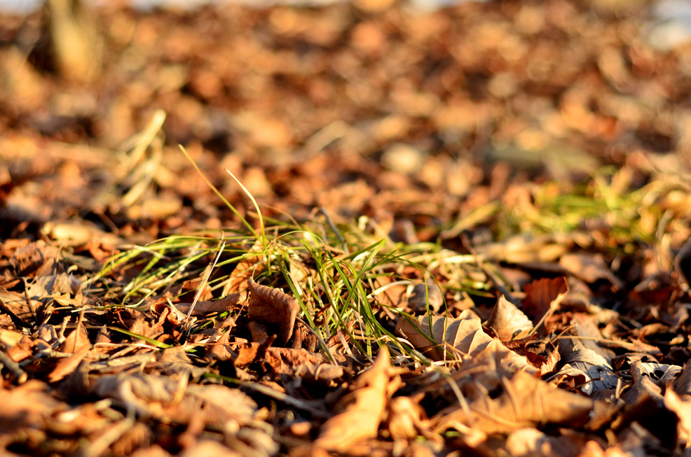 весна пришла 1