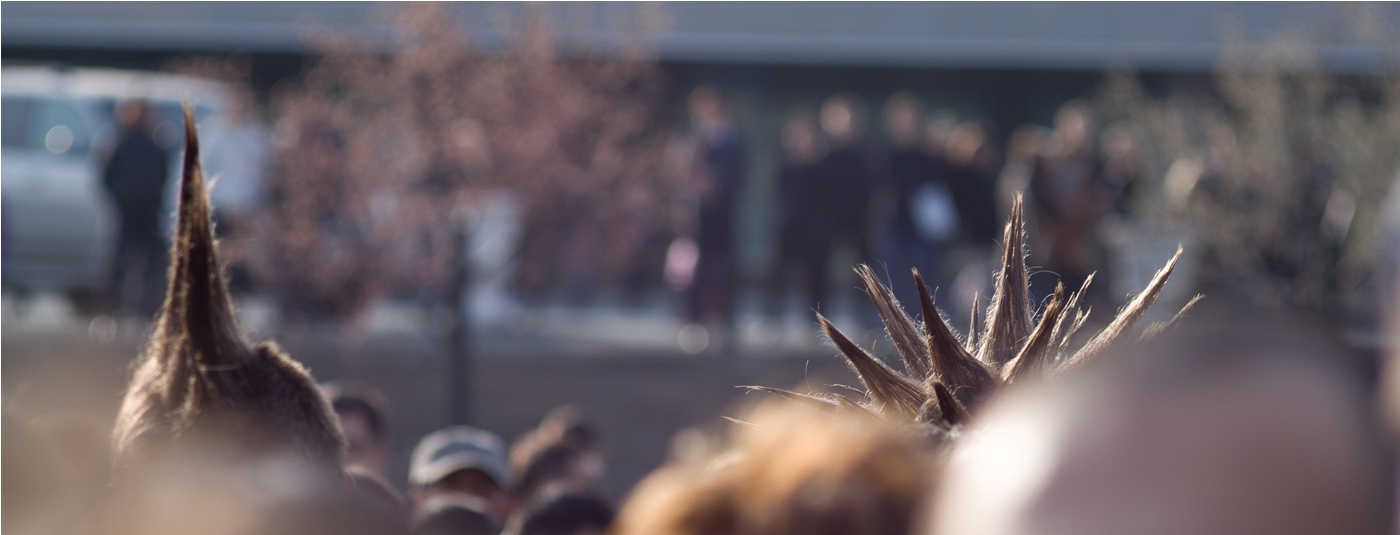 Ежи среди нас