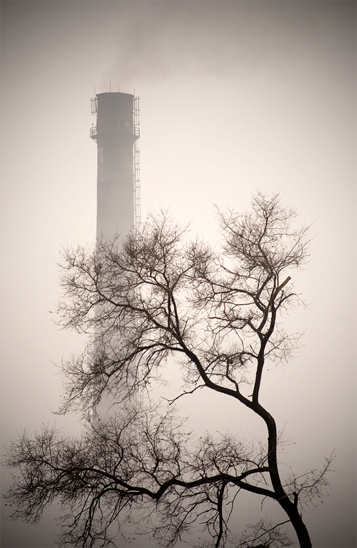 туман - талантливый художник