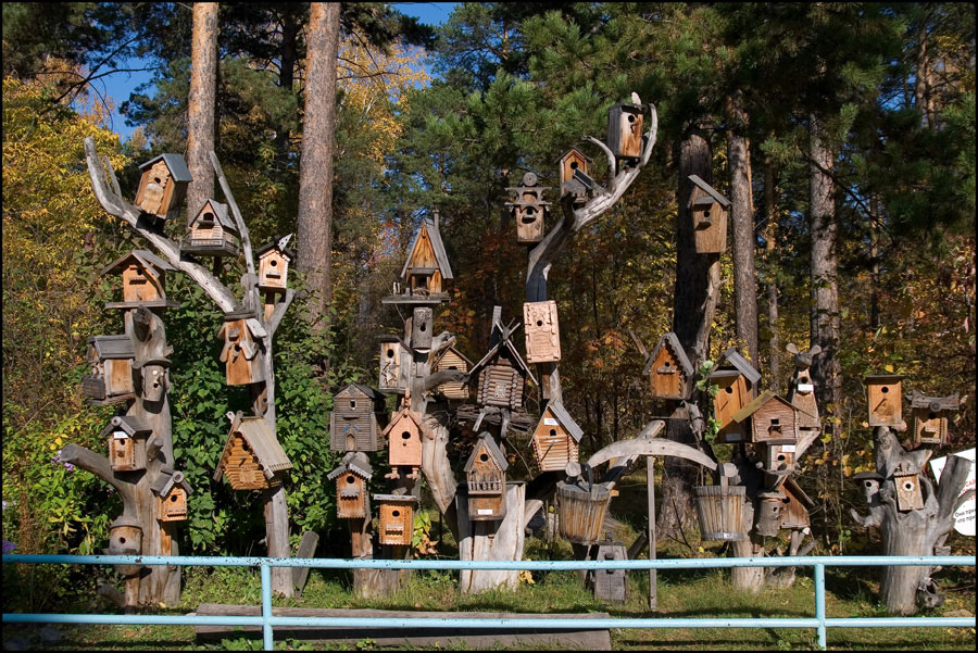 Ипотека в Новосибирском зоопарке