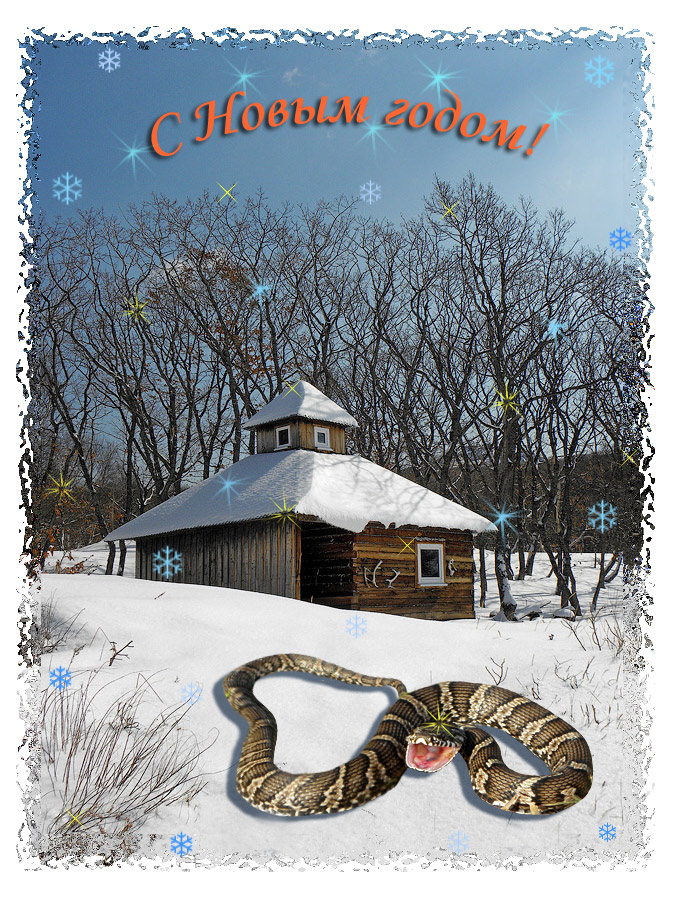 С Новым годом!