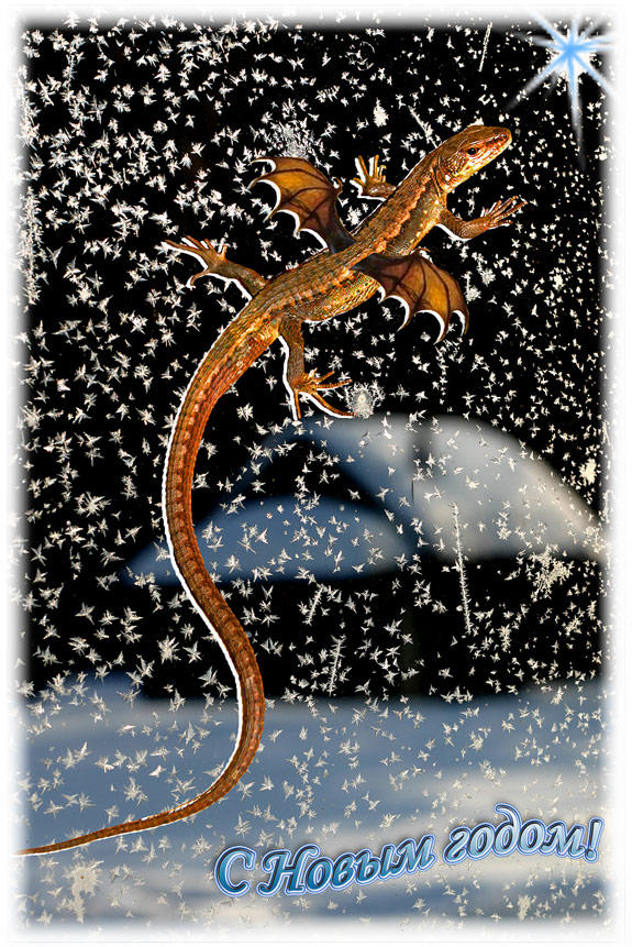 С наступающим Новым годом!
