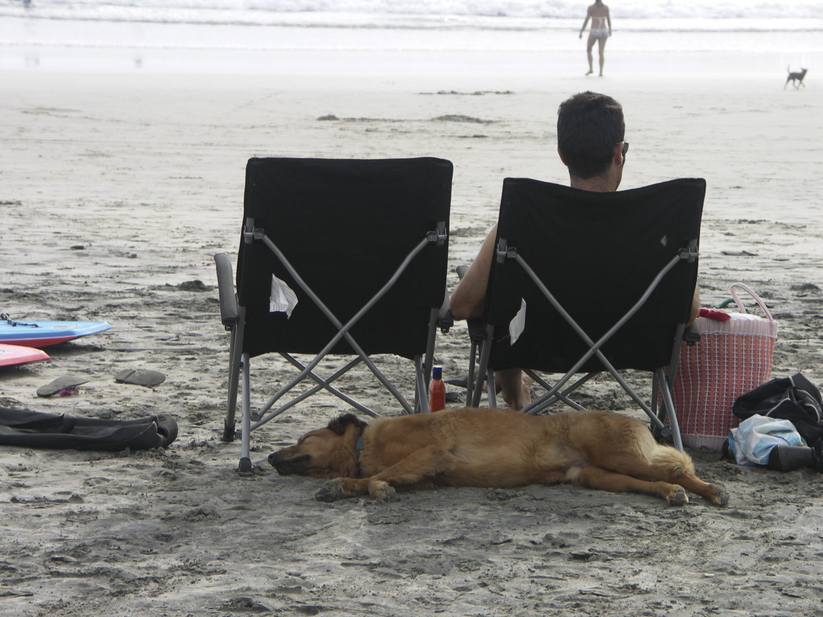 пляжные зарисовки