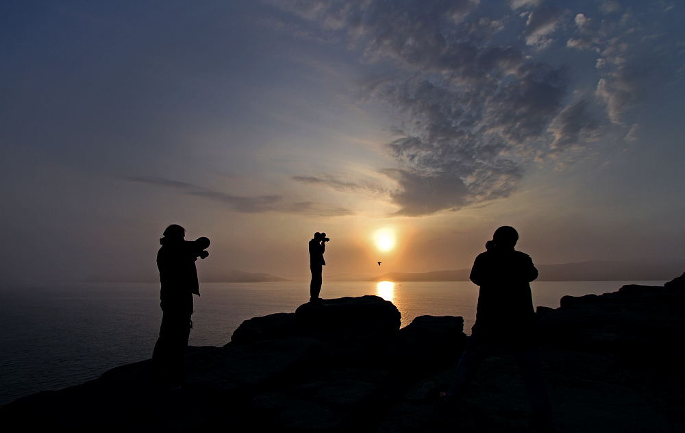 Как сфотографировать гуся и не замочить ног