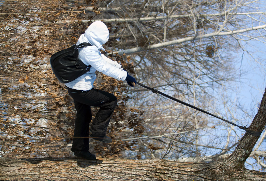 Приодалевая горизонтальные вертекали