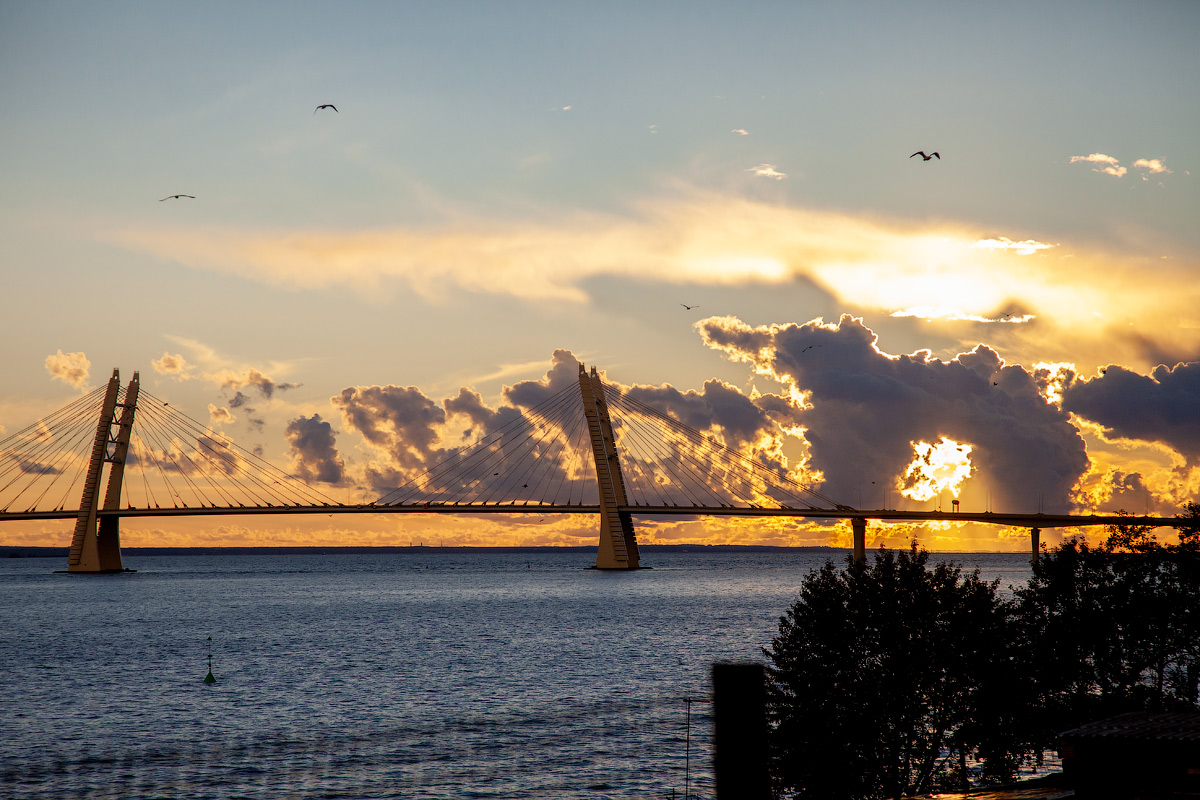 =по Питеру слона водили=