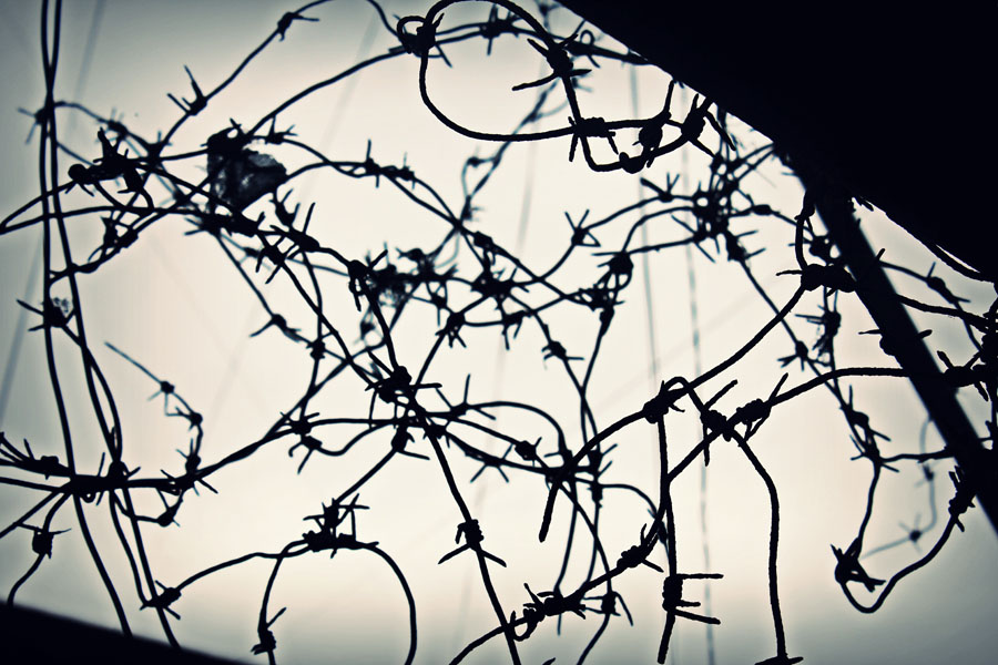 колючая проволока