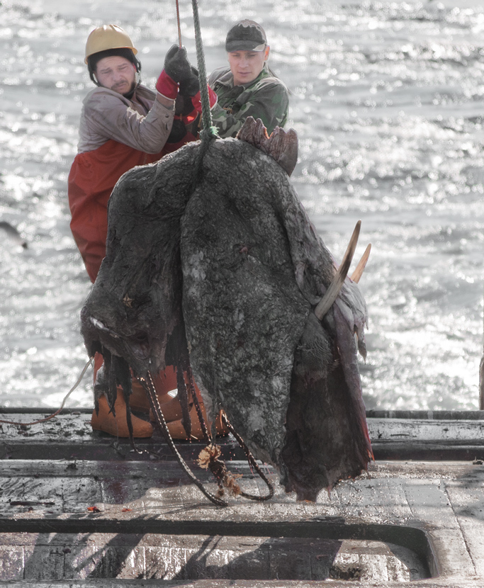 Рыбацкий гламур:-)))