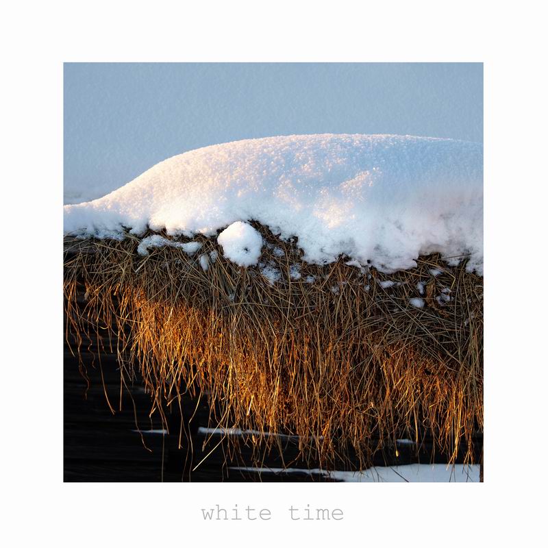 зимний цапель