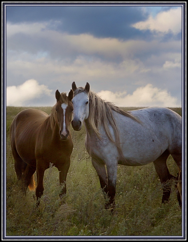 Сладкая парочка