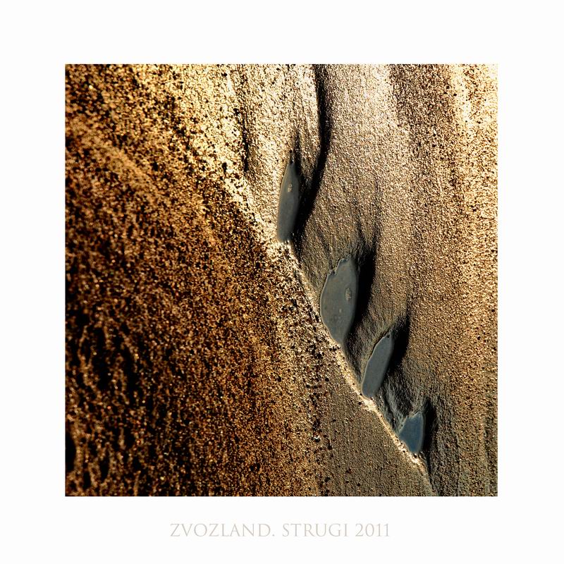 Звоз. струги. сон N5