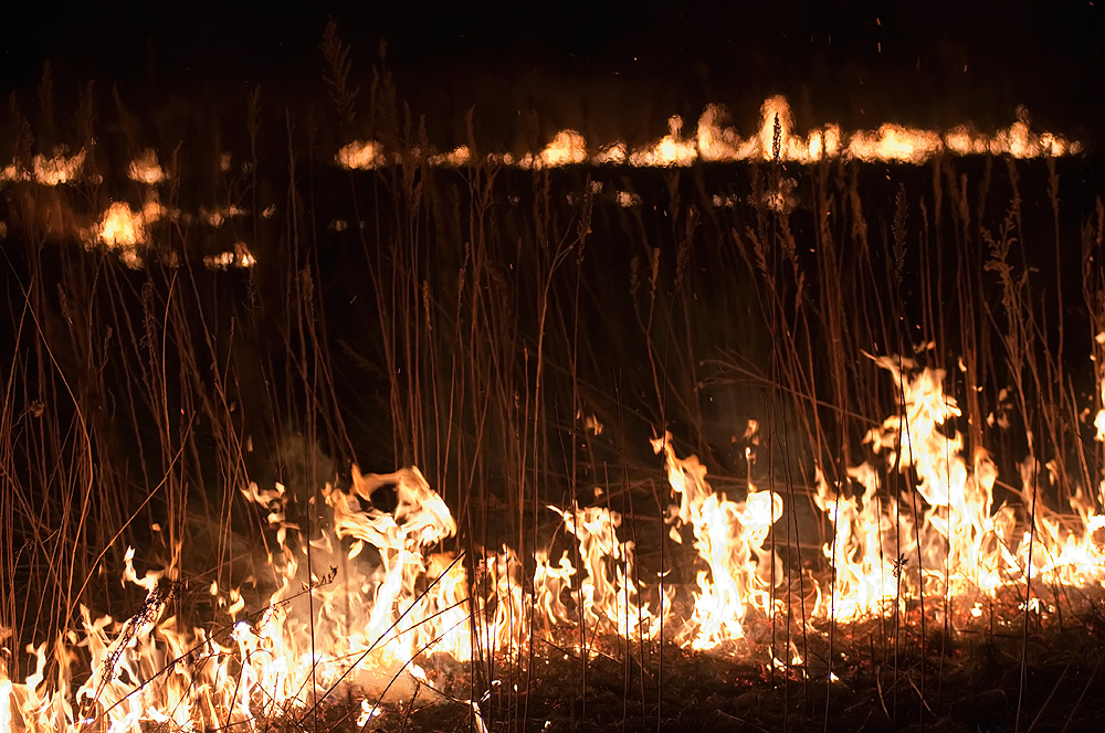 поля жгут - искры летят