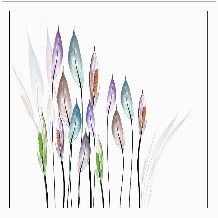 белый лист- II