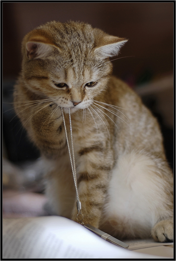 Мне идёт серебро?