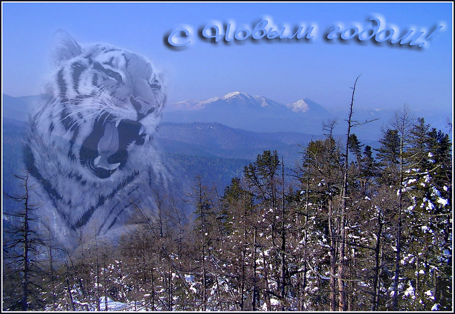 ВСЕХ С НОВЫМ ГОДОМ!