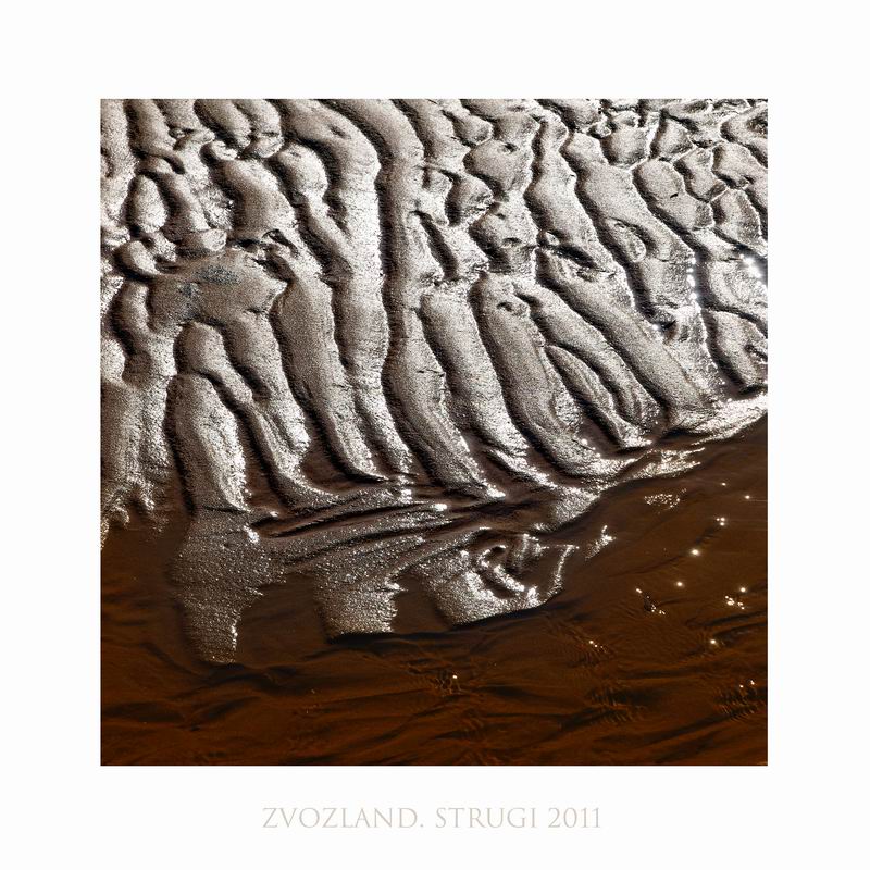 Звоз. струги. сон N4