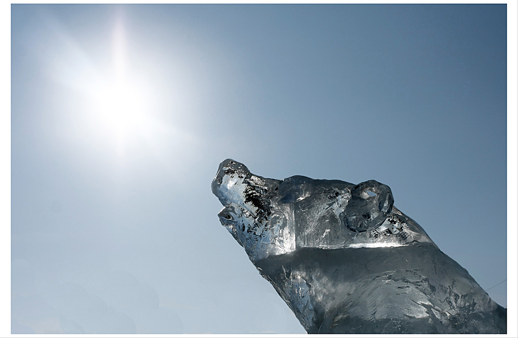 Ледяной Умка