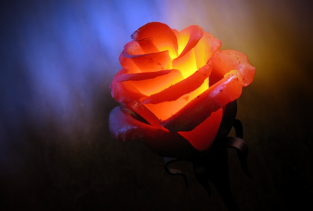 Так зацветает сталь