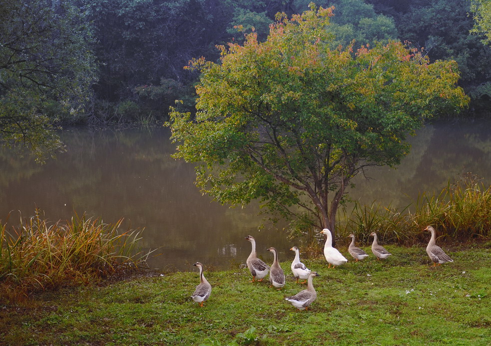 утренняя прогулка
