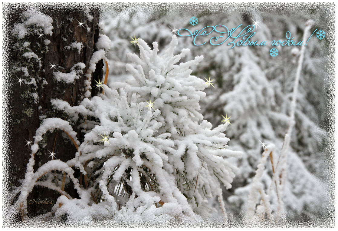 С наступающим!