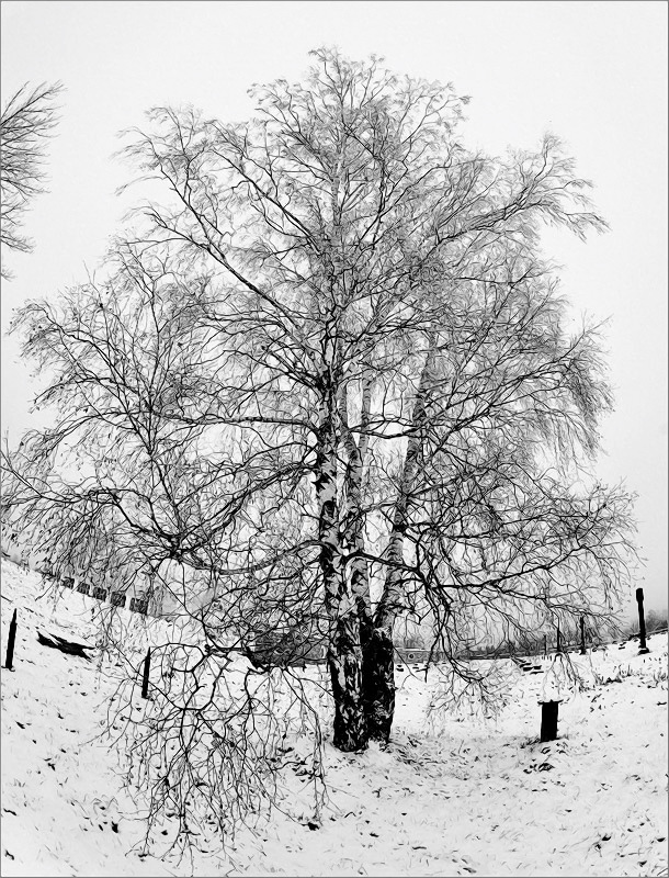 Манящая даль...