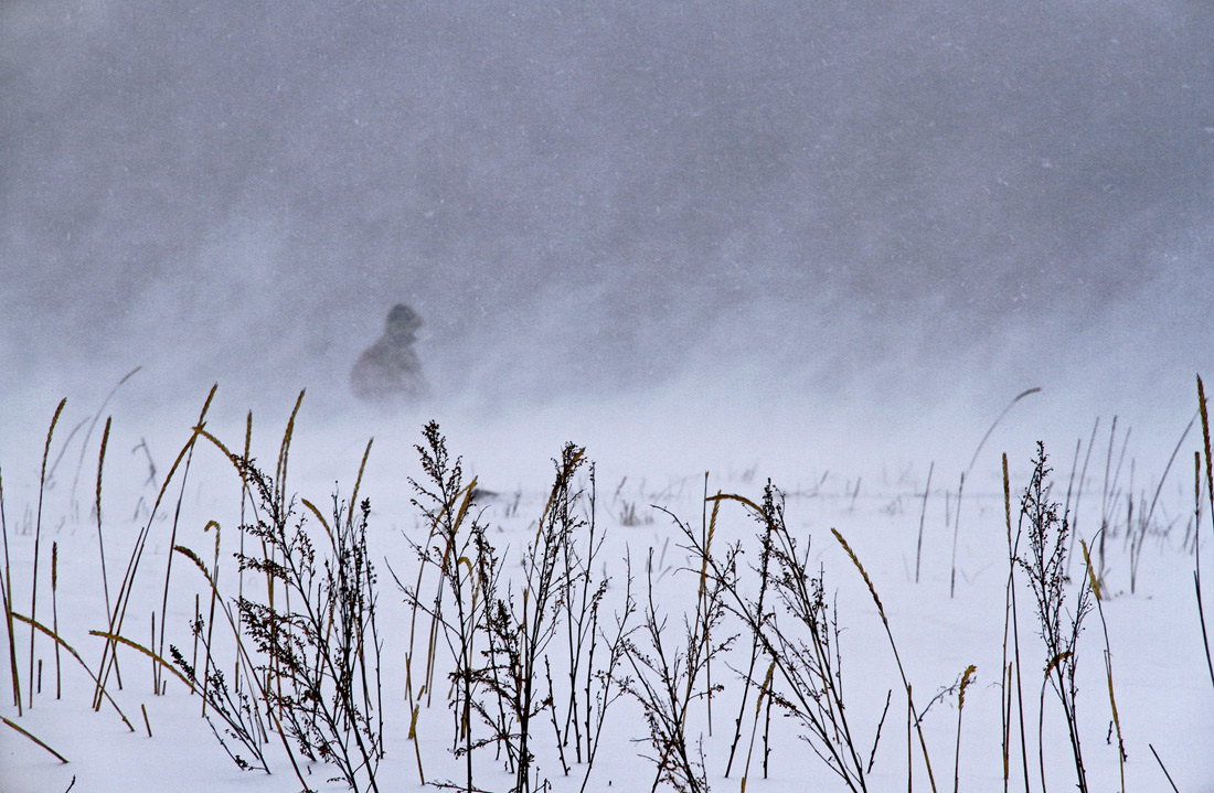 20 метров в секунду