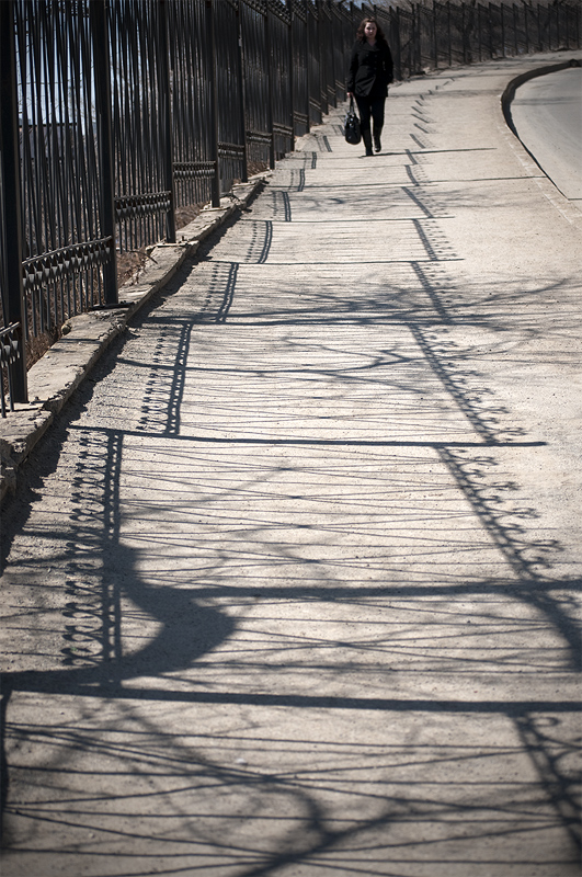 тень на плетень