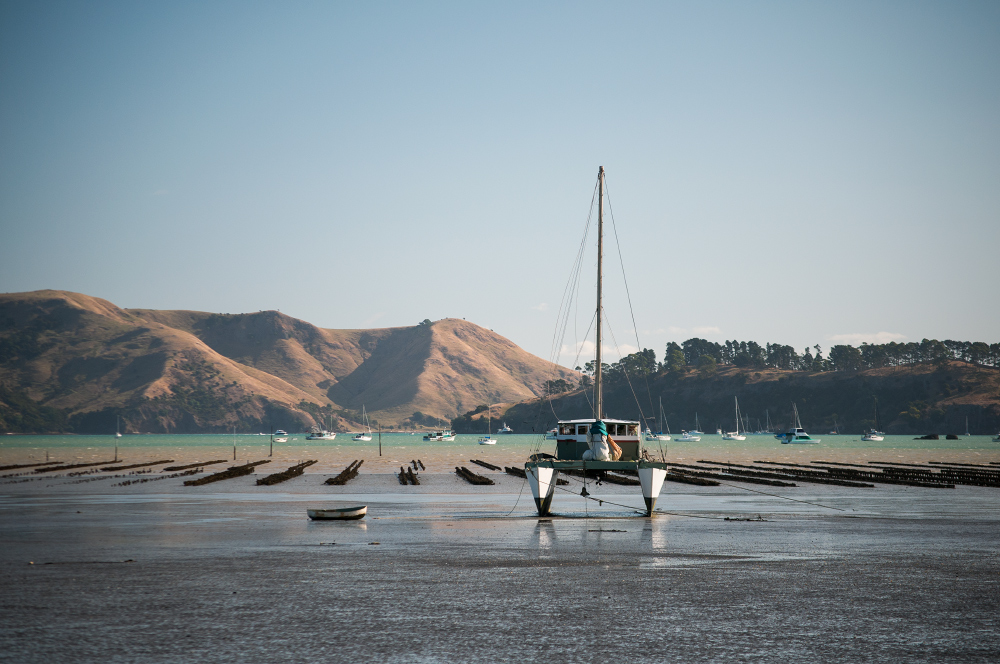 бизнес на мели