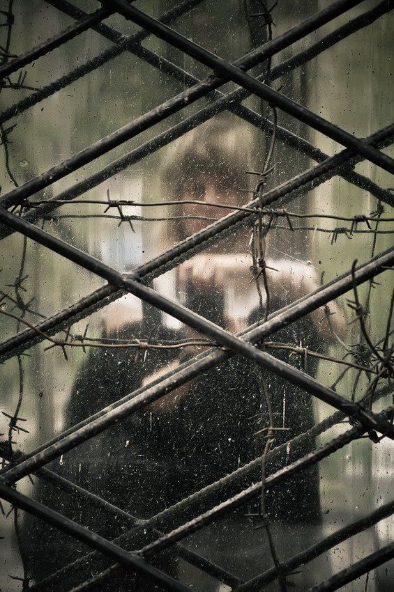 сквозь тернии...