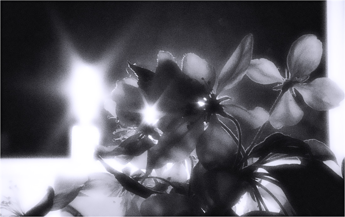 Вечер при свечах