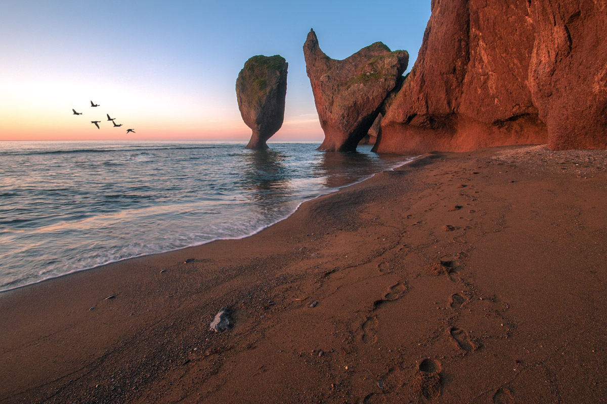 Рассветные утки.