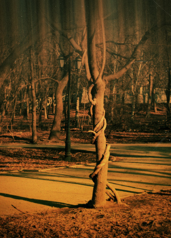 Запахло осенью...