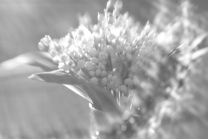 Немного весны на моем подоконнике)