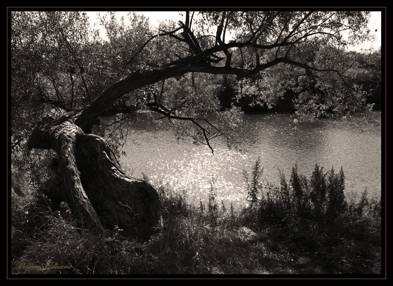 Молочные берега.