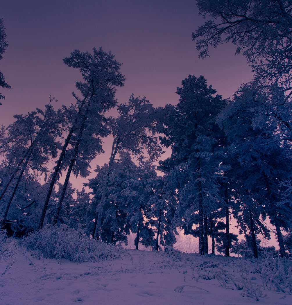 морозный рассвет
