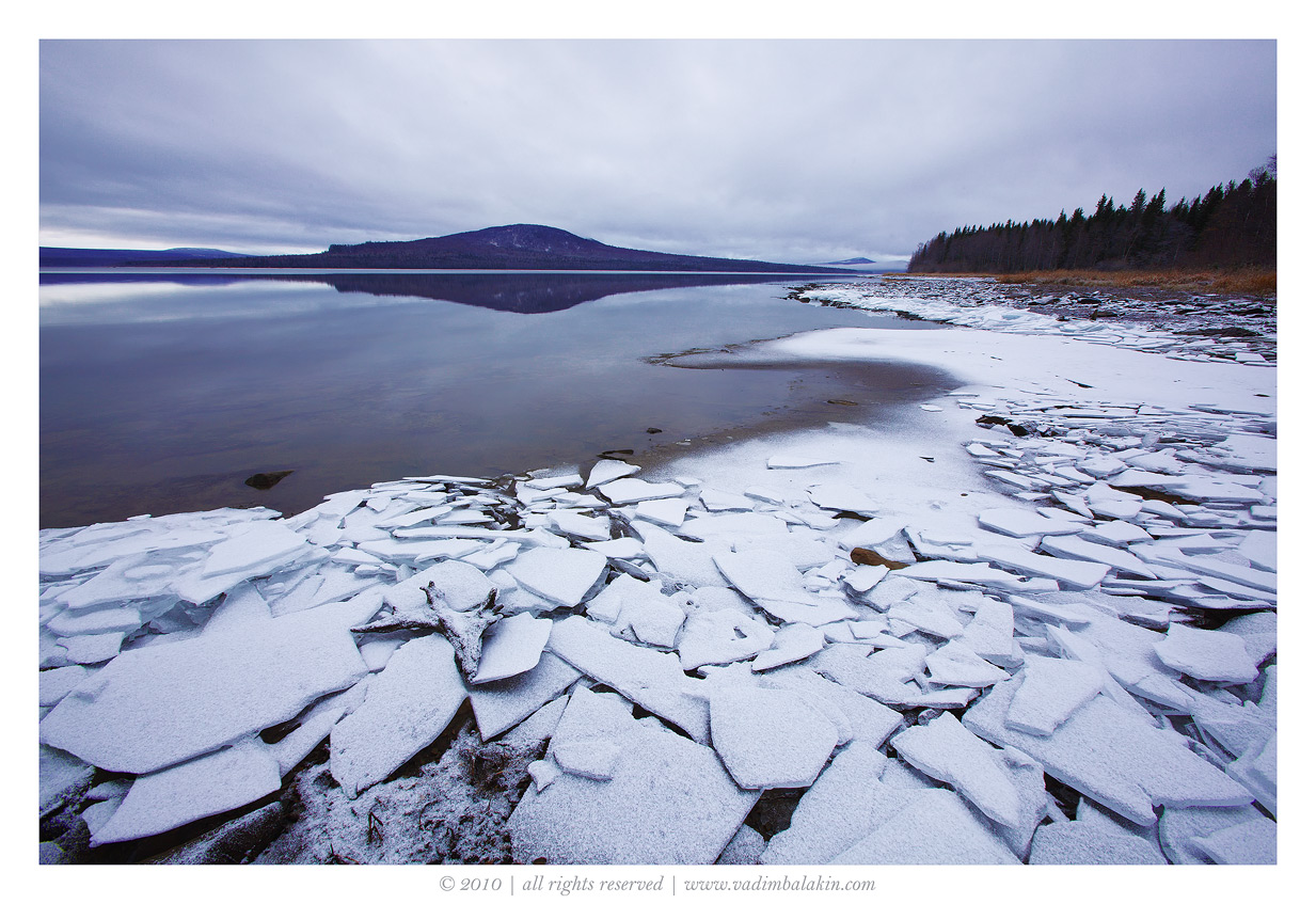 Авангард зимы