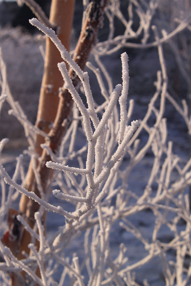 Из той же серии)