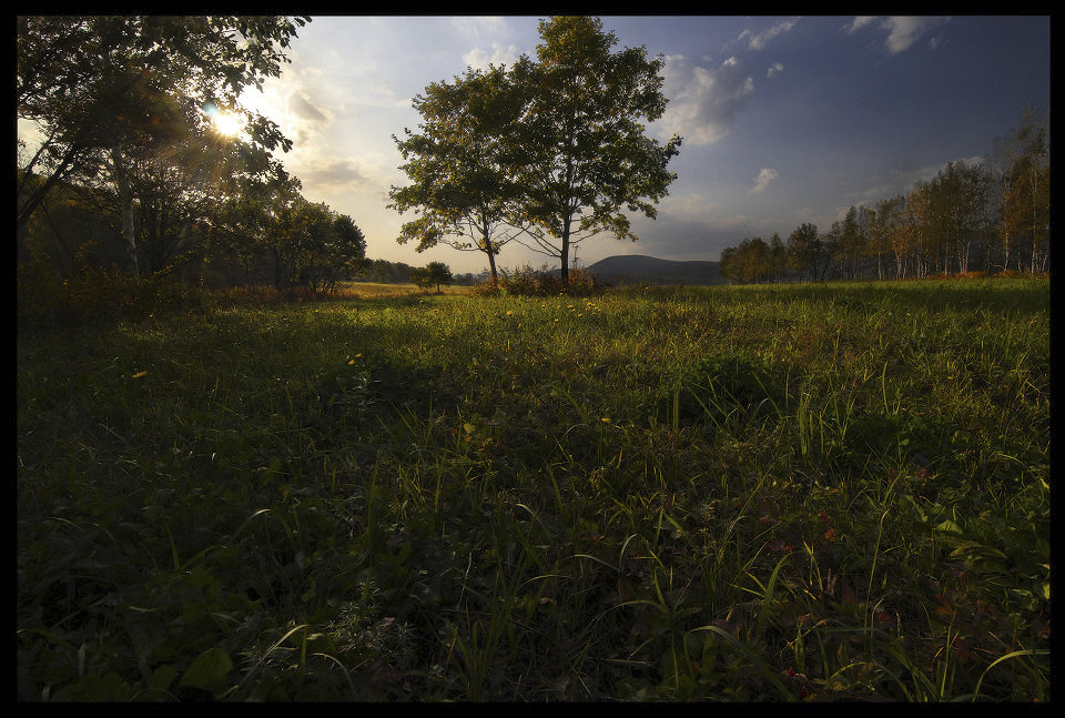 Влюбленные..