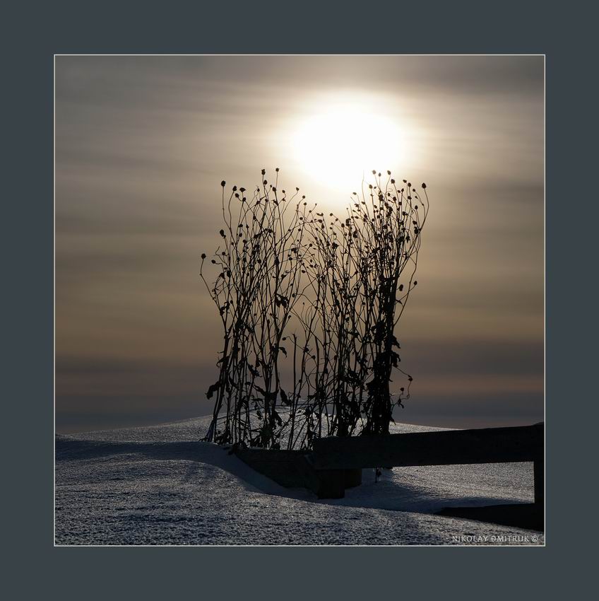 На тонких пальчиках зимы. 2017